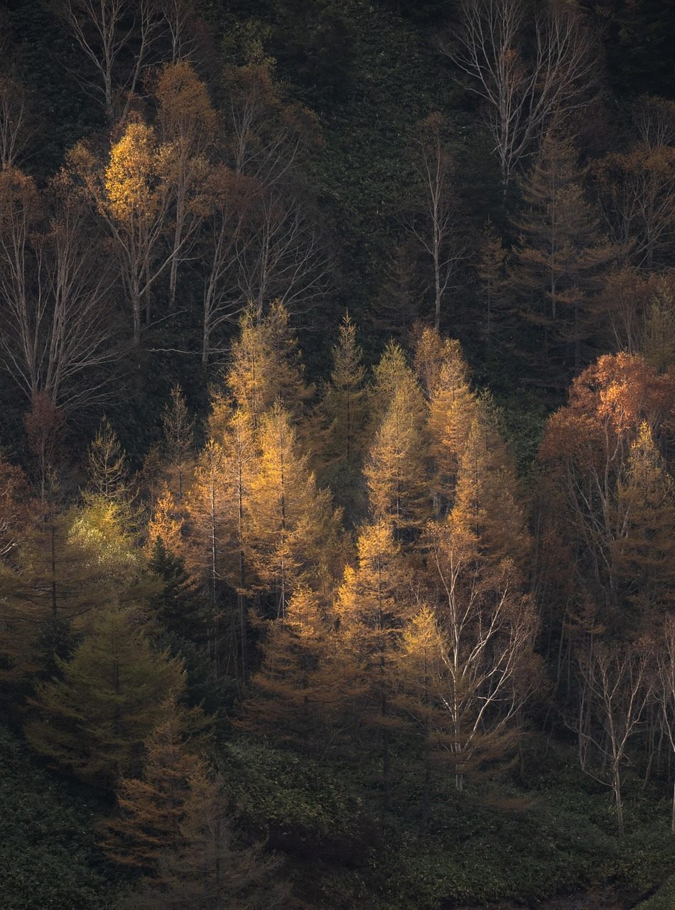 Exemplo de arte bíblica vertical pronta para compartilhar